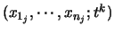 $(x_{1_j}, \cdots , x_{n_j};t^k)$